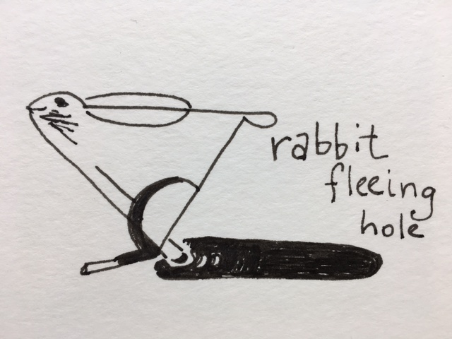 rabbit-fleeing-hole